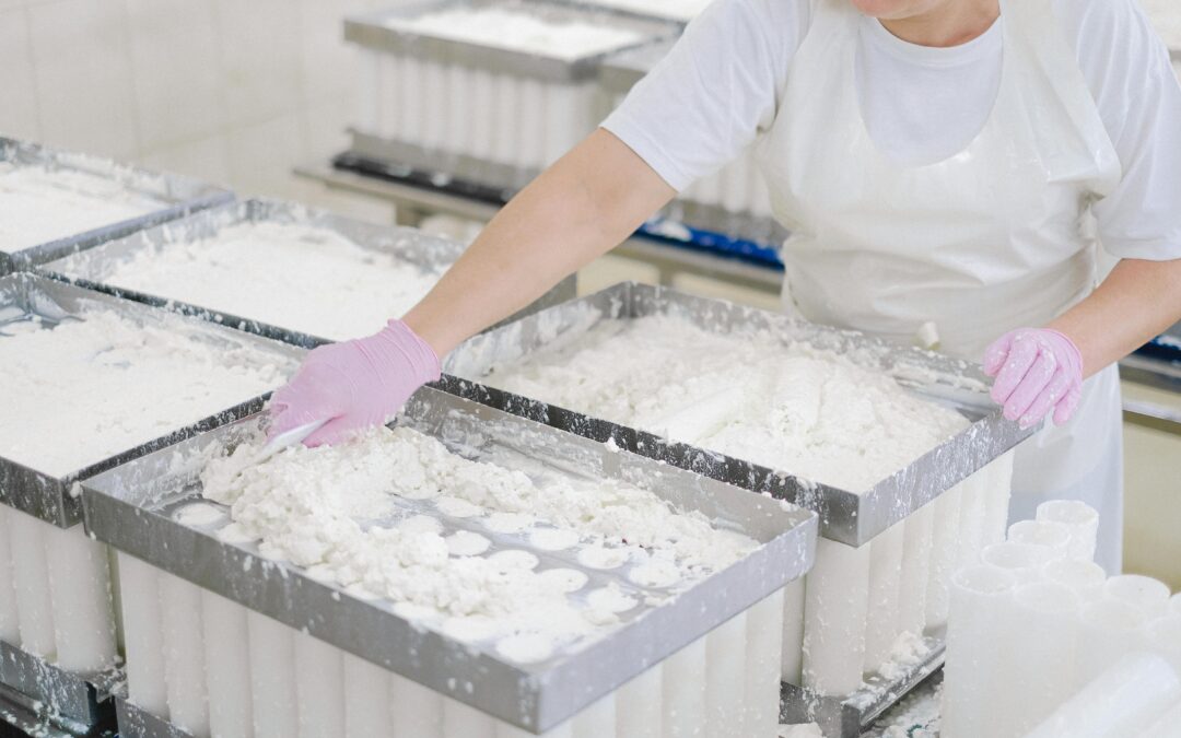 Wow Bao to Create 88 Jobs in Forest City, NC with $6.45 Million Facility Investment