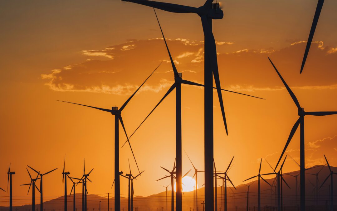 17 States Push Back Against Order Halting Wind Energy Projects